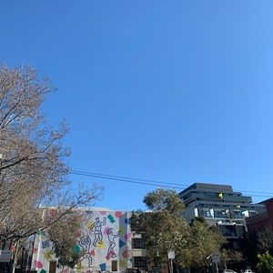 Meet your Posher, Evie